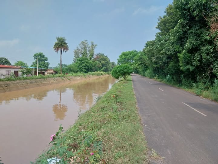 Many precious lives have been lost due to the lack of railings on the side of the Bist Doab Canal.